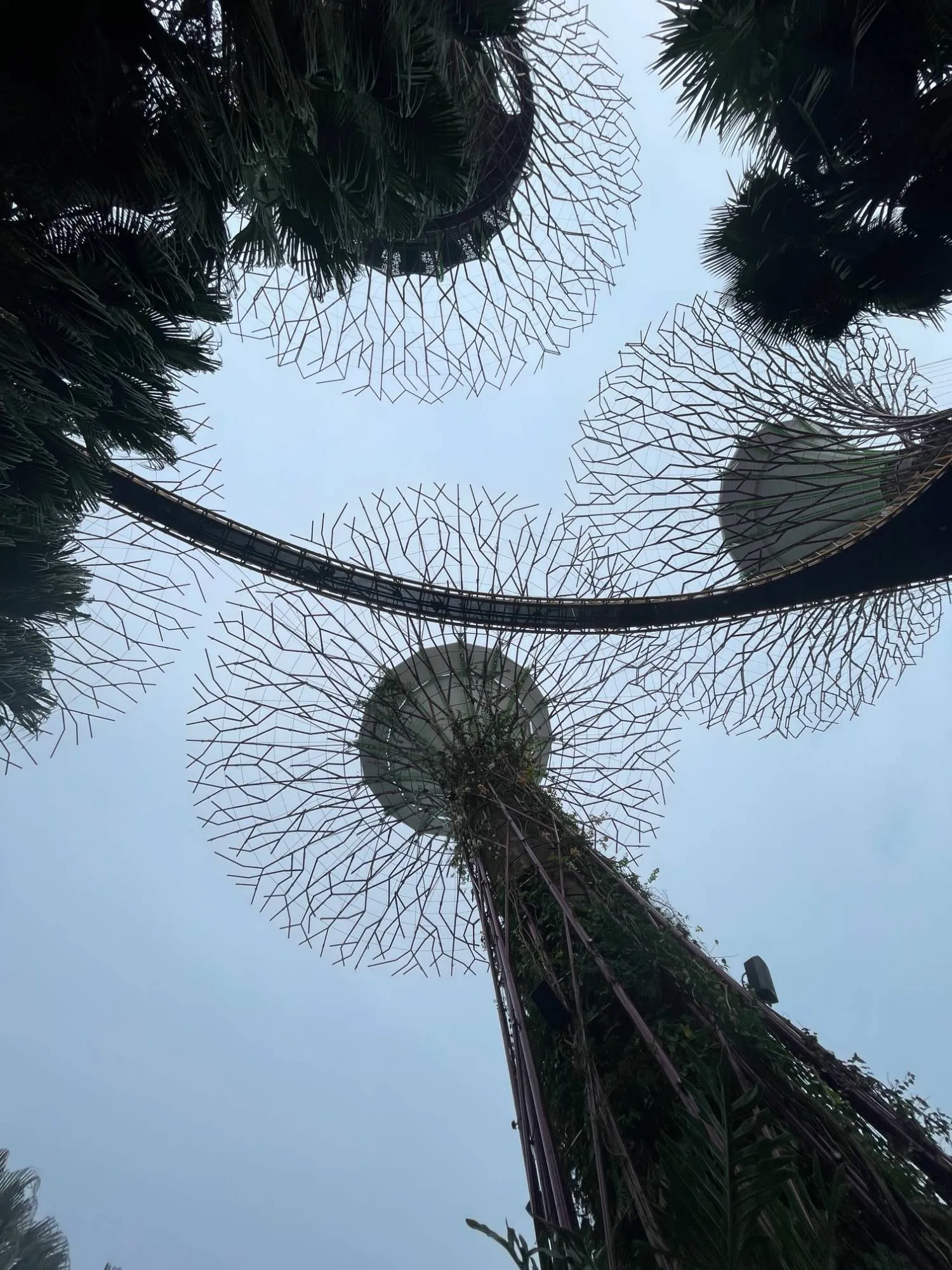 gardens by the bay, singapore